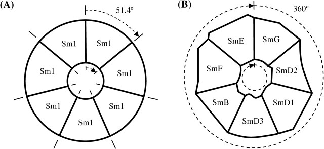 FIG. 3.—