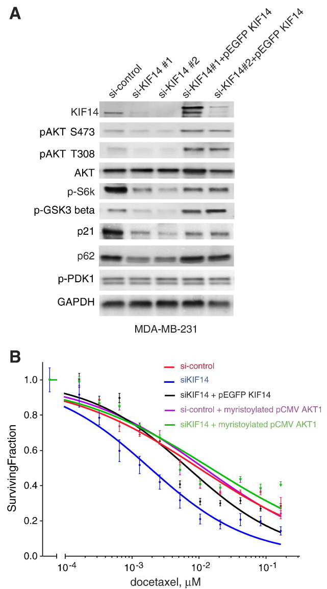 Figure 4