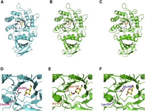 Figure 1