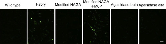 Figure 6