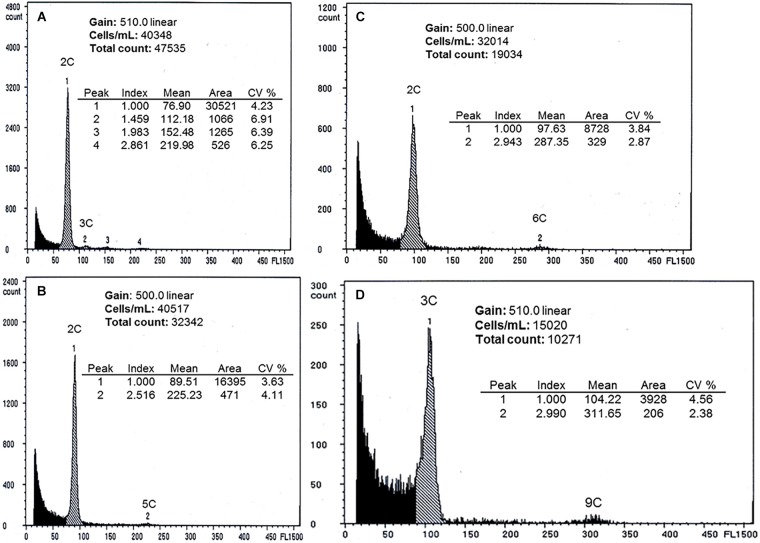 FIGURE 3