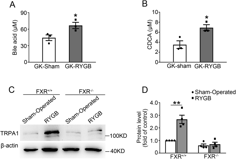 Figure 5