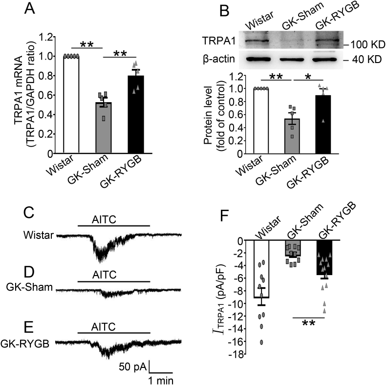 Figure 2