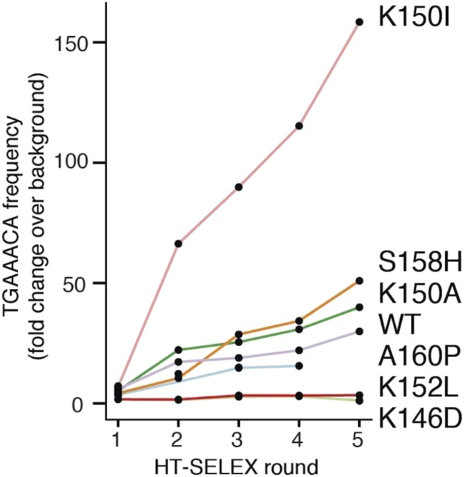 Figure 5