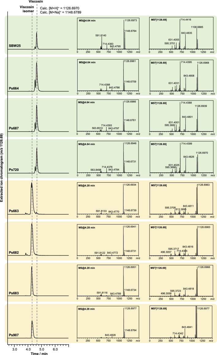 Figure 4—figure supplement 1.