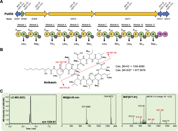 Figure 4—figure supplement 4.