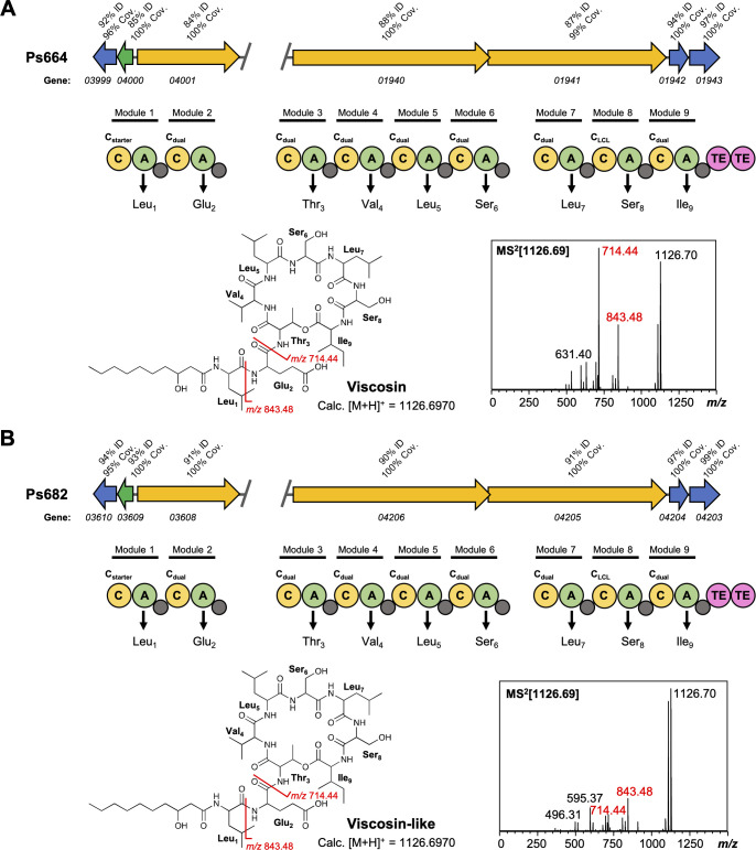 Figure 4—figure supplement 2.