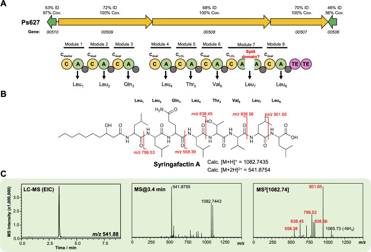 Figure 4—figure supplement 6.