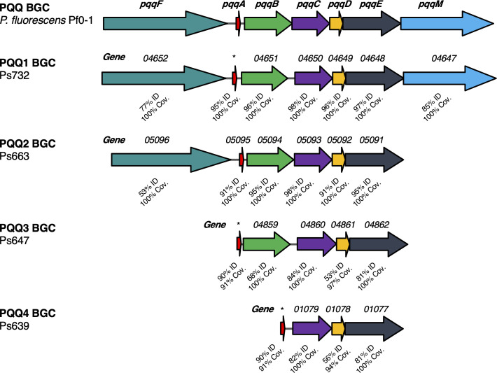 Appendix 1—figure 4.