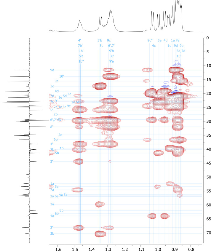 Figure 5—figure supplement 13.