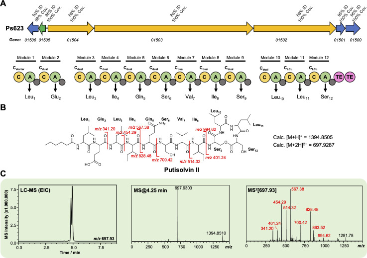 Figure 4—figure supplement 5.