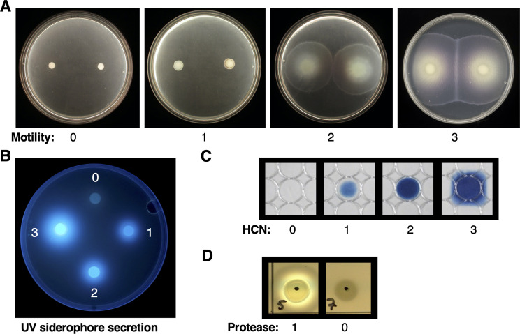 Figure 2—figure supplement 1.