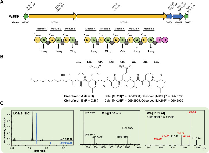 Figure 4—figure supplement 7.