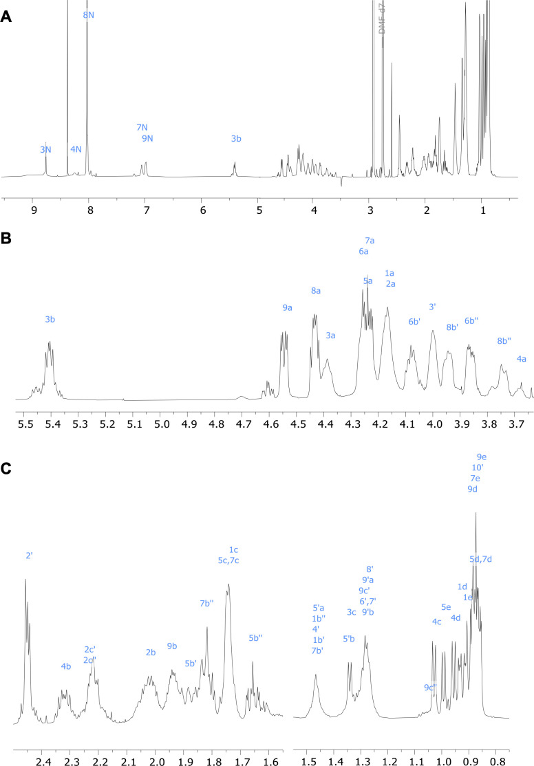 Figure 5—figure supplement 4.