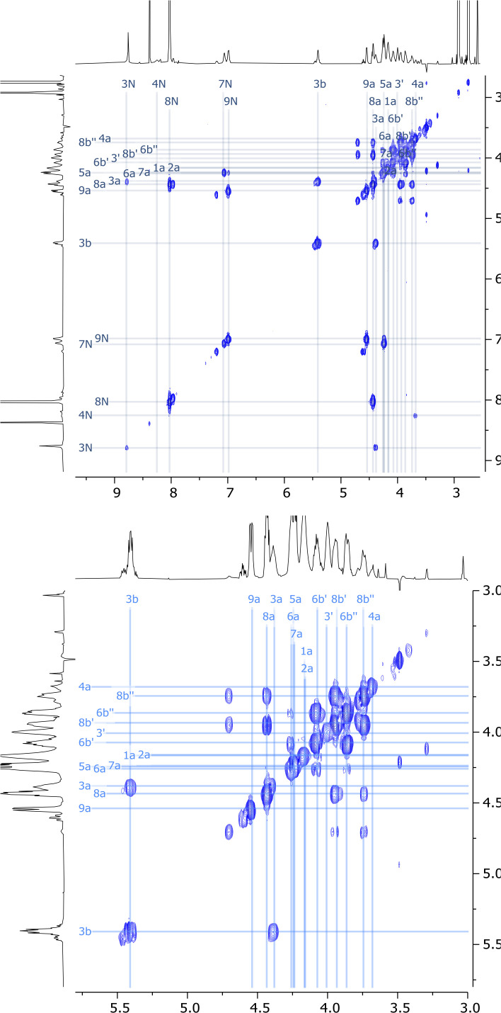 Figure 5—figure supplement 7.