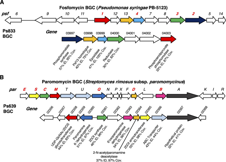 Appendix 1—figure 3.