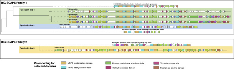 Appendix 1—figure 1.