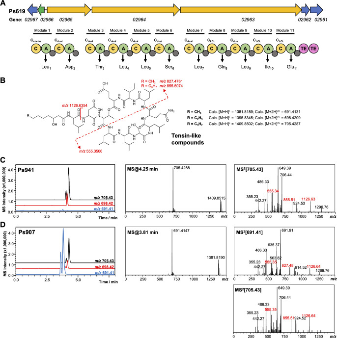 Figure 4—figure supplement 3.