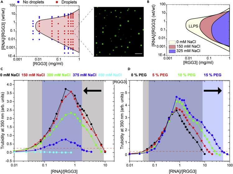 Figure 6