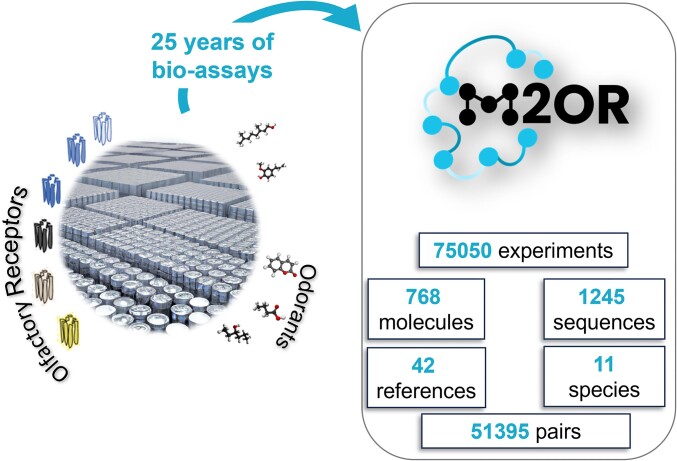 Graphical Abstract
