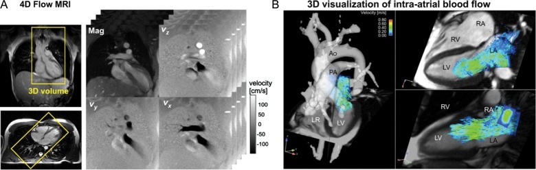 Figure 6