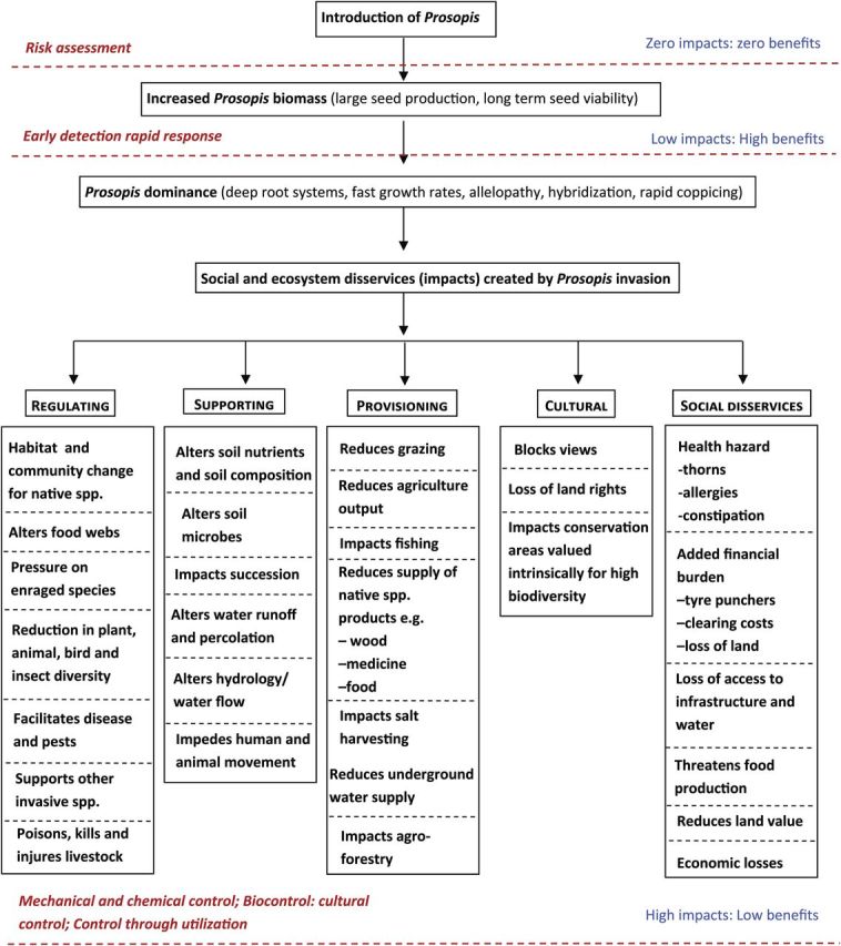 Figure 2.