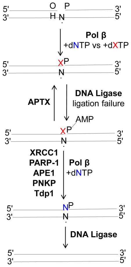 Fig. 4