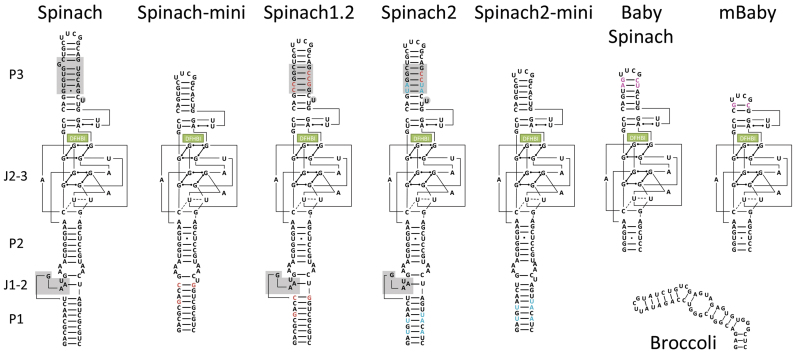 Figure 2.