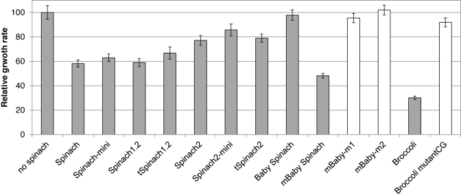 Figure 5.