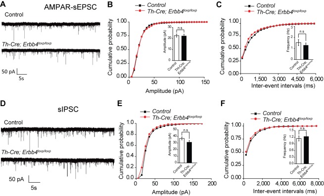 Figure 3—figure supplement 1.