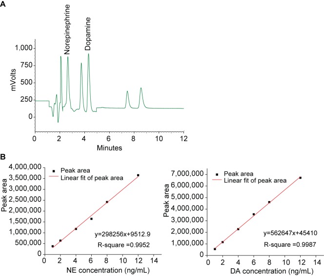 Figure 2—figure supplement 2.