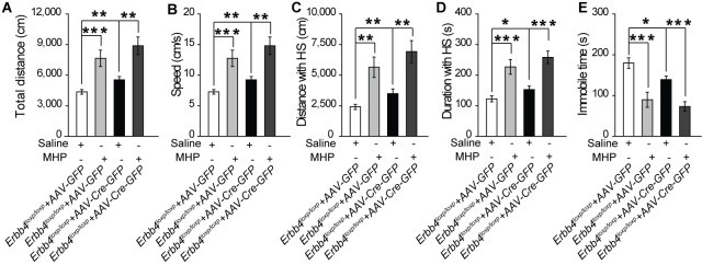 Figure 5—figure supplement 3.