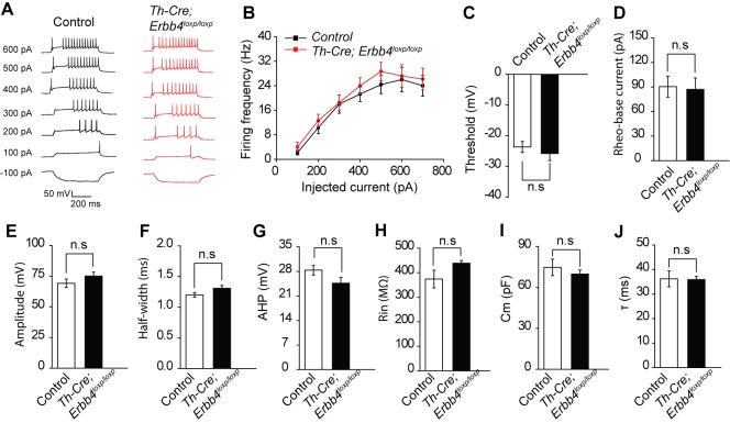 Figure 3—figure supplement 2.