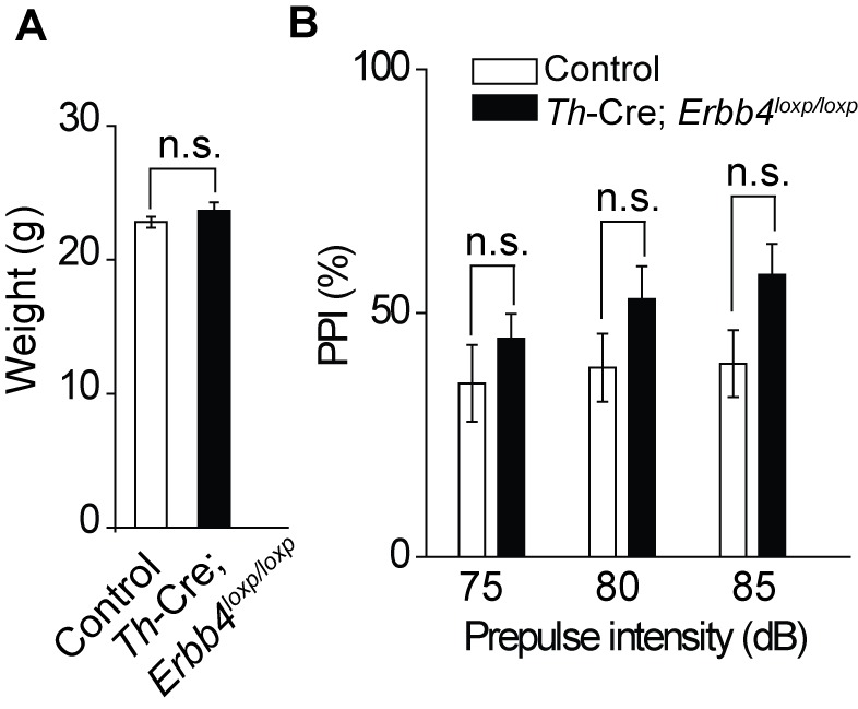 Figure 4—figure supplement 1.