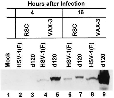 FIG. 6