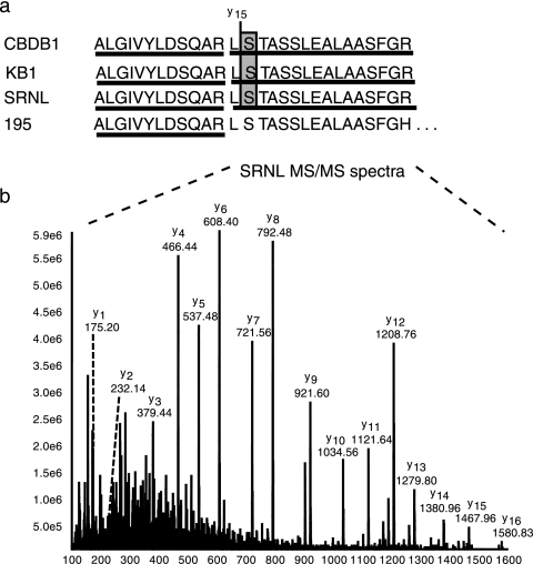 FIG. 4.