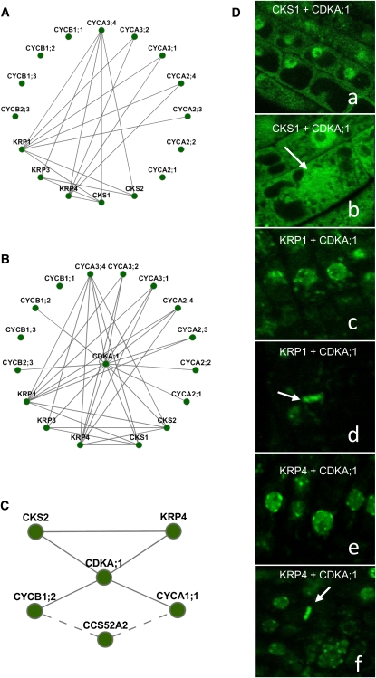 Figure 6.