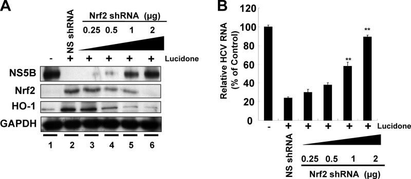 Fig 8