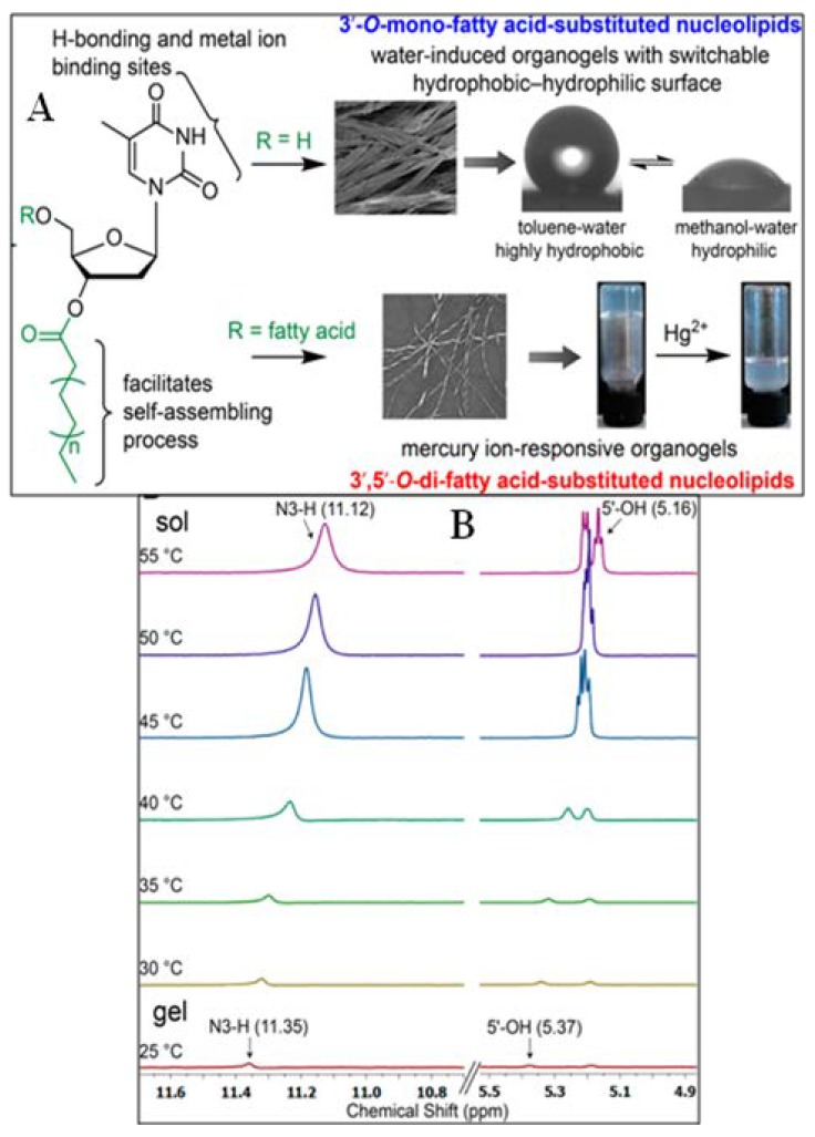 Figure 25