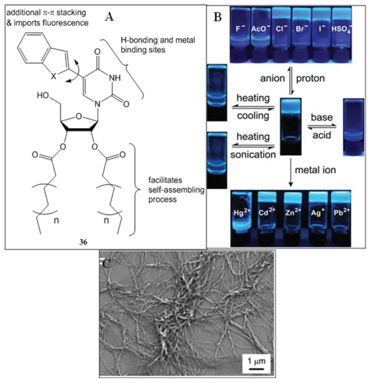 Figure 24