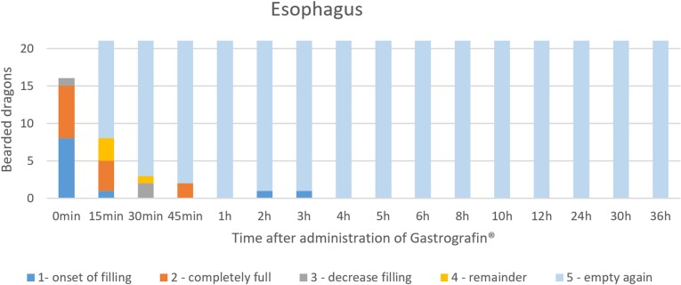 Fig 21