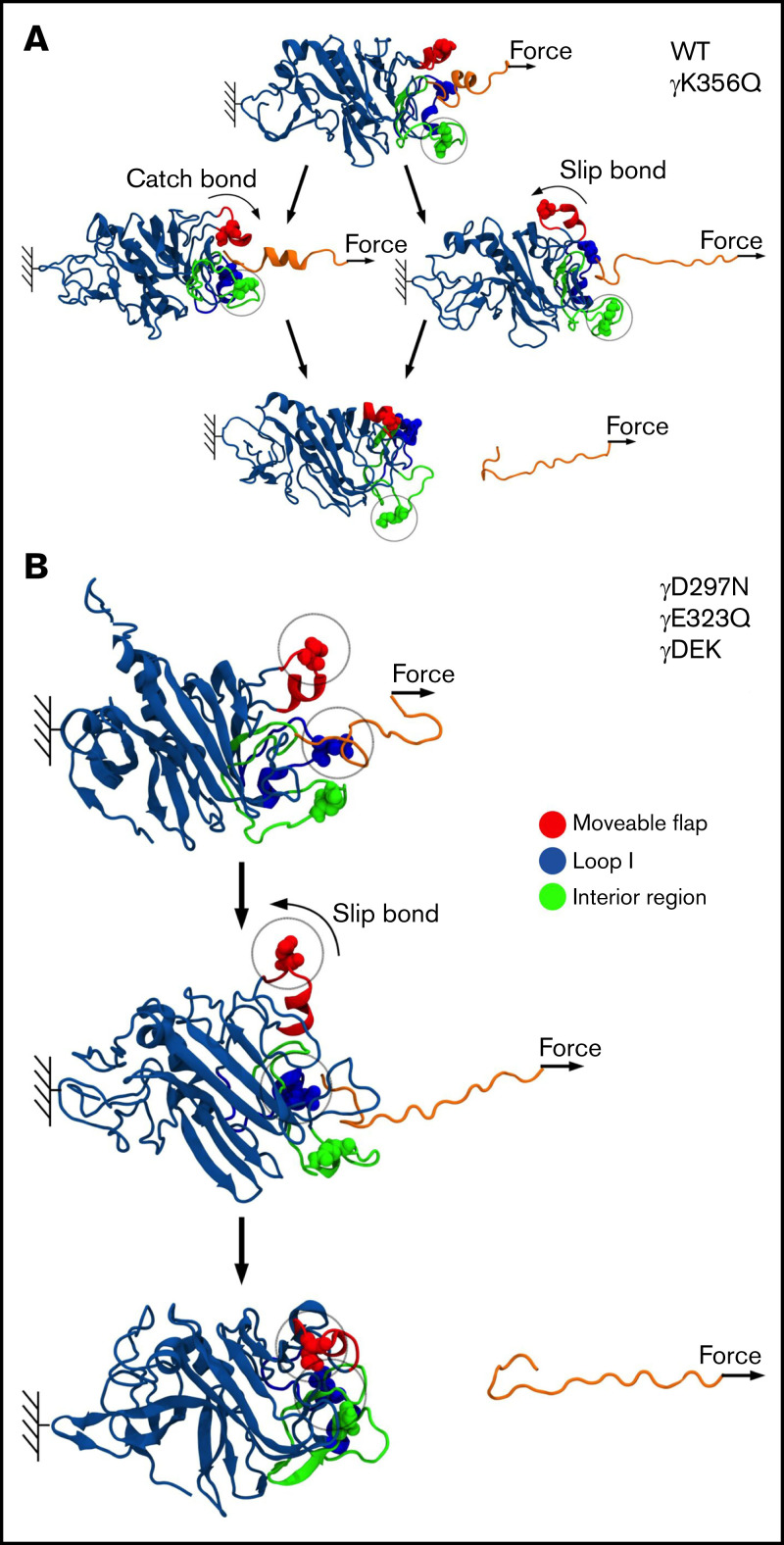 Figure 7.