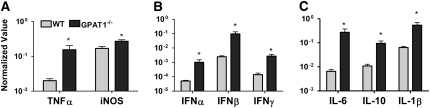 FIGURE 2 