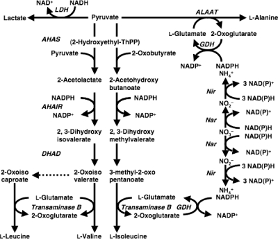 FIG. 1.