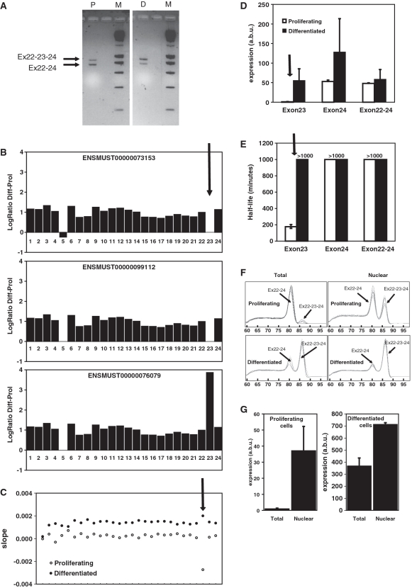 Figure 6.