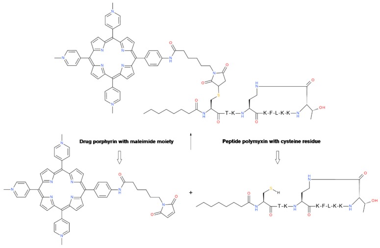 Scheme 4