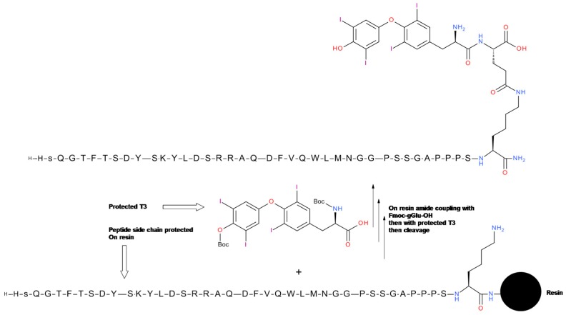 Scheme 1