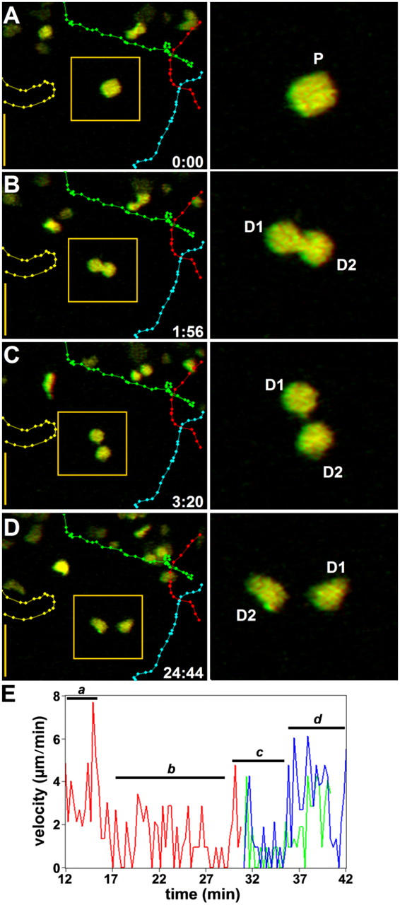 Figure 6.