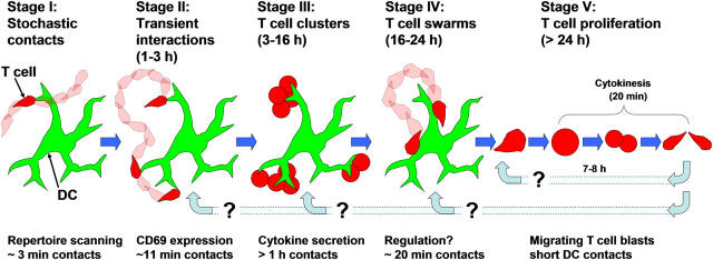 Figure 9.