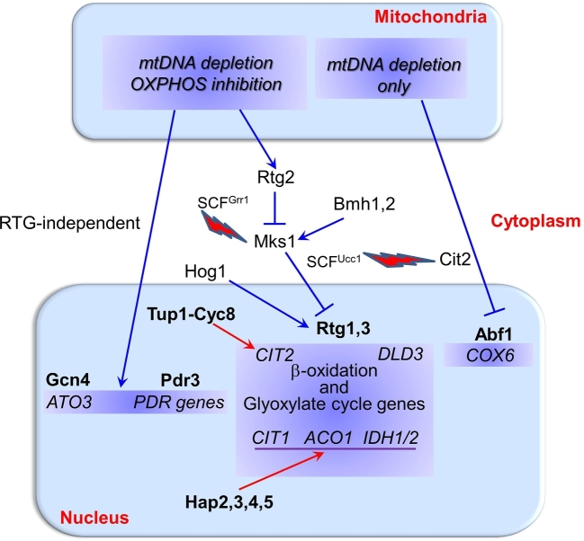 Figure 2.